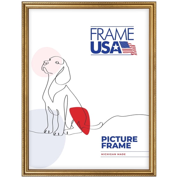 American Value Medium Gold 18x24 Inch Picture Frame
