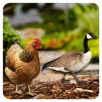 ICERUN 2Pcs Garden Statues,Canada Goose and Hen Sculpture Garden Art,Acrylic Material Animal Yard Decorations Outdoor,Style3