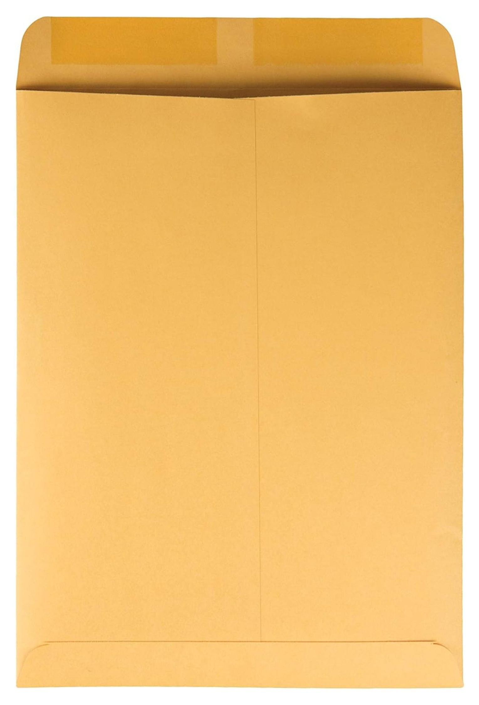 YfulYde Catalog Mailing Envelopes, 9 1/2 x 12 1/2 Envelopes, Gummed, Heavy 28 lb. Paper, For Mailing, Organizing and Storage, 250 per Box (QUA41565)