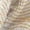 Beige, variant on 2 Piece Women's Knitted Suit Casual Loose Color Blocked Short Sleeved Cardigan Top Drawstring Shorts (M, Beige)