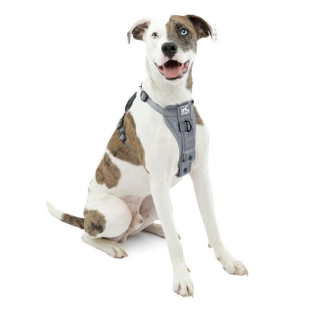UPC: 0810013810745 | Kurgo Tru-Fit Smart Harness  Dog Harness  Pet Walking Harness  Quick Release Buckles  Front D-Ring for No Pull Training  Includes Dog Seat Belt Tether (Grey  Medium)
