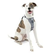 Kurgo Tru-Fit Smart Harness, Dog Harness, Pet Walking Harness, Quick Release Buckles, Front D-Ring for No Pull Training, Includes Dog Seat Belt Tether (Grey, Medium)