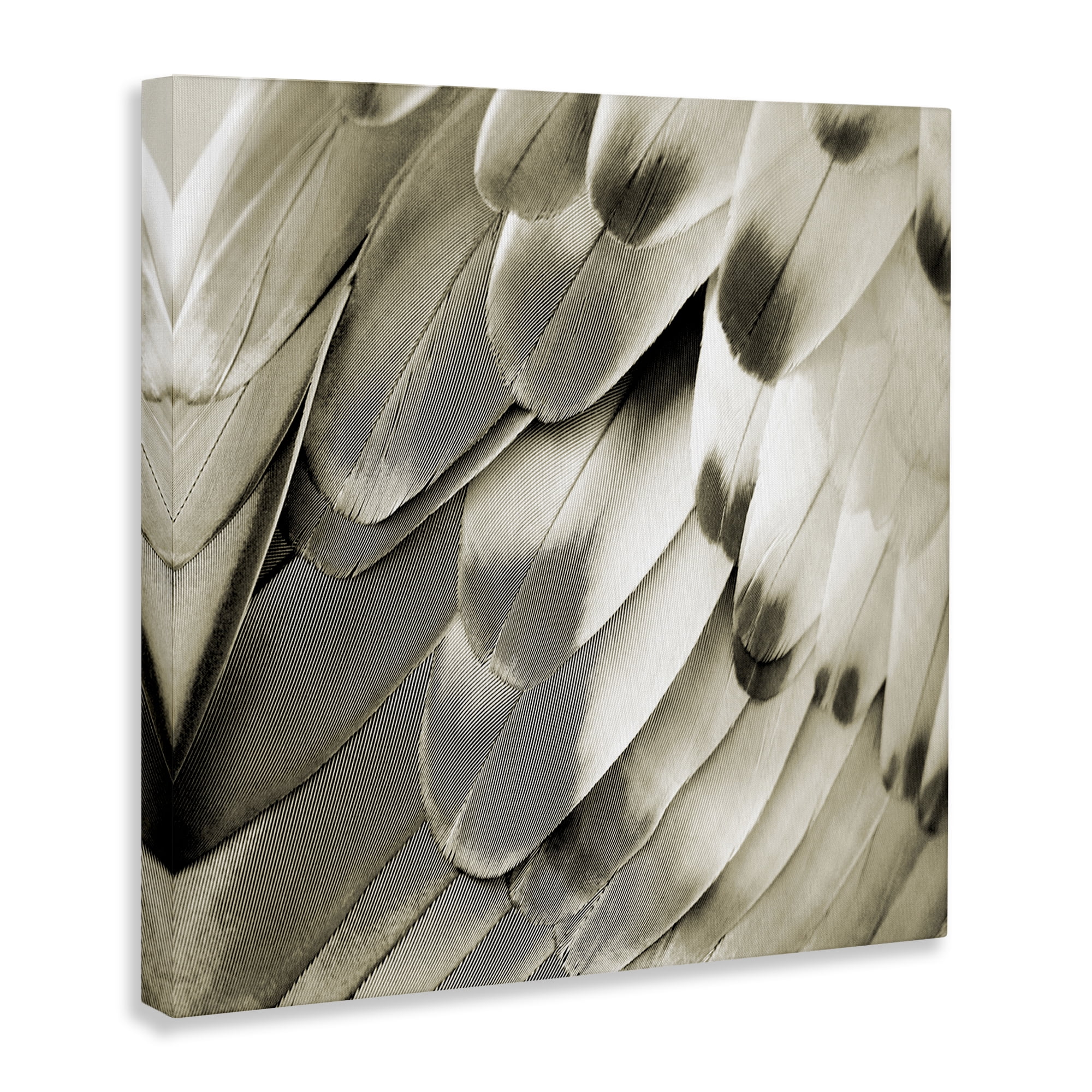 Stupell Industries Sleek Feathers Close Up Animals Painting Wrapped Canvas Art Print Wall Art, 17 x 17