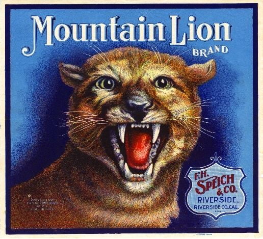 Riverside Mountain Lion #2 Orange Citrus Fruit Crate Label Art Print