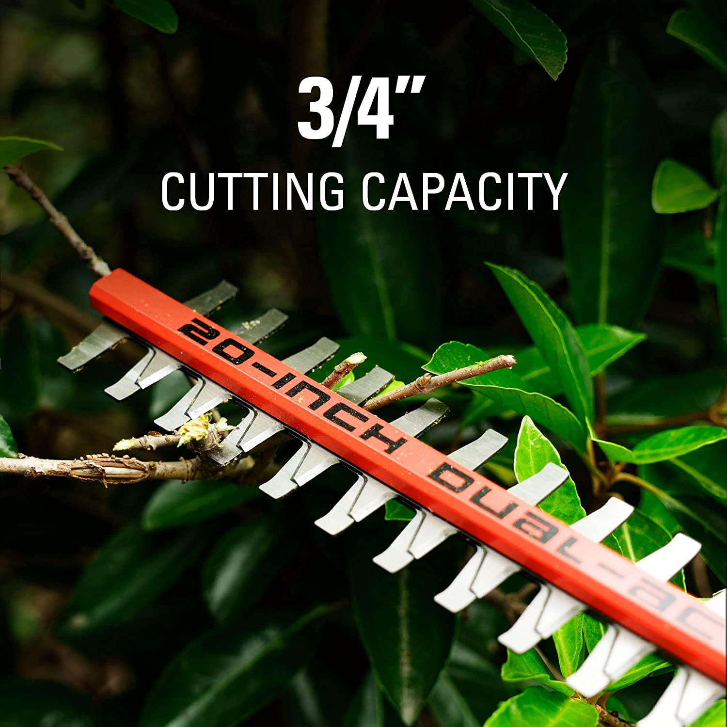 Greenworks 20-Inch 80V Cordless Pole Hedge Trimmer, Battery Not Included PH80B00