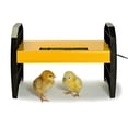 thumbnail image 1 of Brinsea Products USHD500 Ecoglow 20 Chick Brooder, 1 of 1