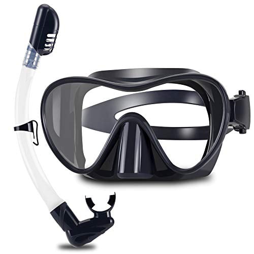 WSTOO Dry Snorkel Set,Anti Fog Snorkel Mask,180 Degree Panoramic View Scuba D... 