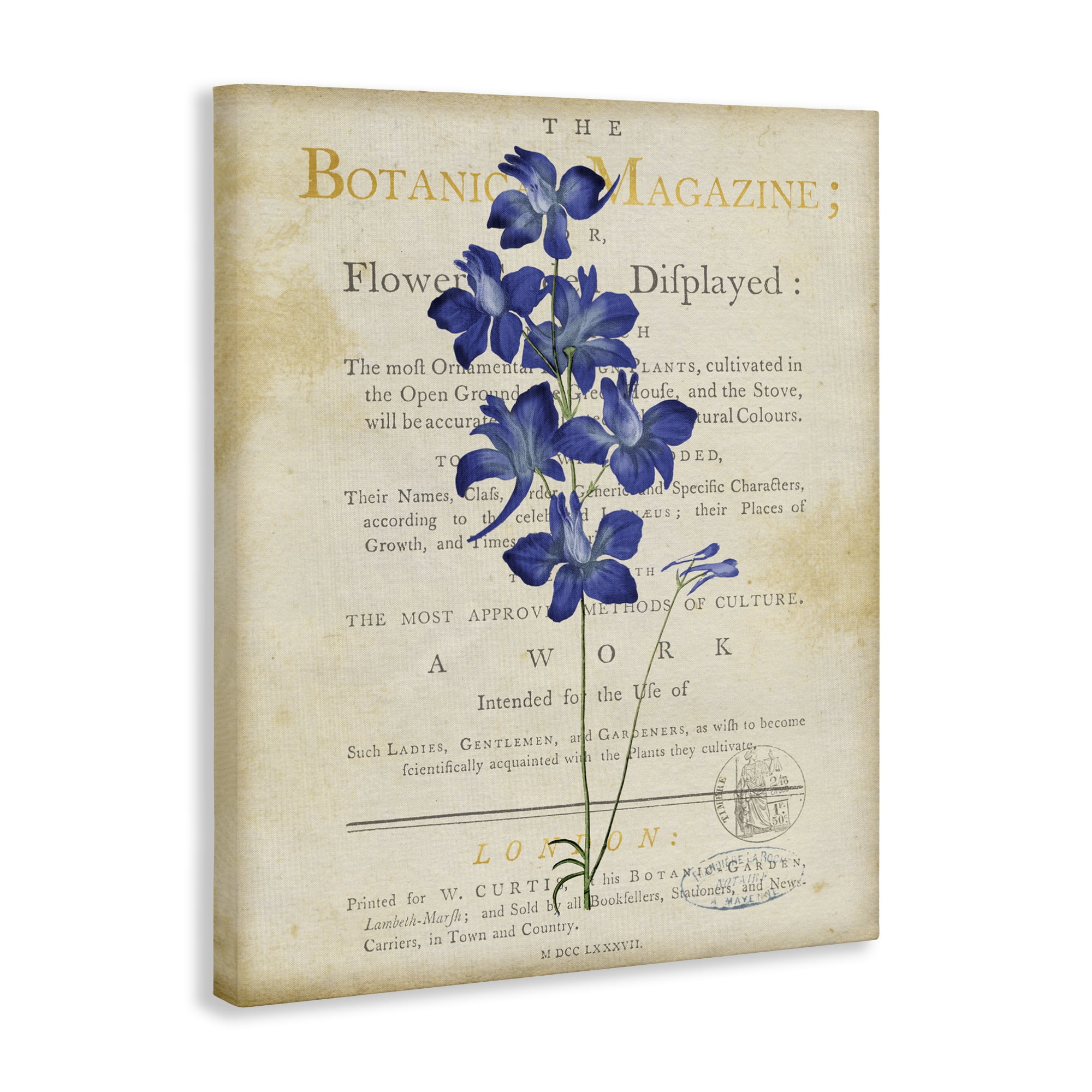 Stupell Industries Natural Botanic Garden Flower Canvas Wall Art, design by Susan Arnot