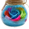 thumbnail image 3 of Wishing Bottle Remote Control Rose Flower LED Bottle Flower Night Light LED Romantic Bulb RGB Dimmer Lamp Valentine's Day Birthday Gift, 3 of 7