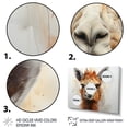 thumbnail image 3 of Designart "Alpaca Inquiring Gaze" Animals Floater Framed Wall Decor, 3 of 7