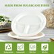 thumbnail image 5 of Platos compostables de 3 compartimentos EcoliPak 150, paquete de 25 cm, 5 of 7