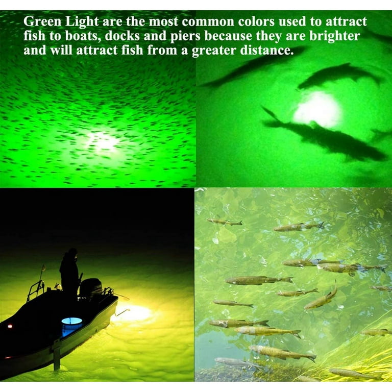 AMERTEER 12V 120 LEDs LED Night Fishing Light 10W 1000 Lumens Underwater  Fishing Light Waterproof Fully-submersible Design Fishing Green Lamp Fish  Finder Lamp Fishing Bait 