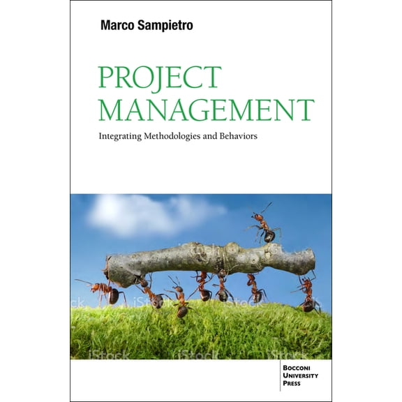 Project Management: Integrating Methodologies and Behaviors, (Paperback)