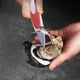 thumbnail image 2 of Abridor de ostras de grado profesional para abrir ostras de forma segura Cuchillo de acero inoxidable con mango de silicona naranja, 2 of 8