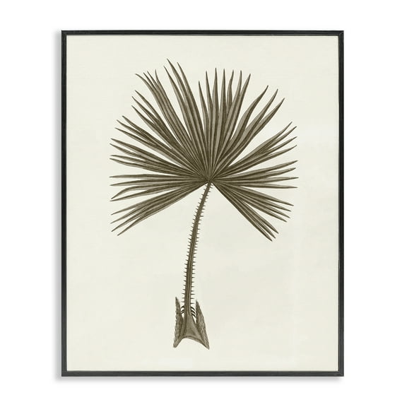 Stupell Industries Vintage Study of Palm Leaf Floral Painting Black Framed Art Print Wall Art, 11 x 14