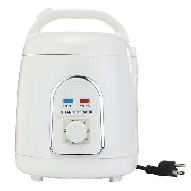 Portable Sauna Steamer,Sauna Machine,1.8L Fumigation Machine Home