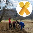 thumbnail image 1 of Guantes de cuero para jardinería, guantelete transpirable de protección, guantes de trabajo de 2 piezas, lavables y duraderos de primera calidad para amarillo Soledad Guantes de jardineria, 1 of 10