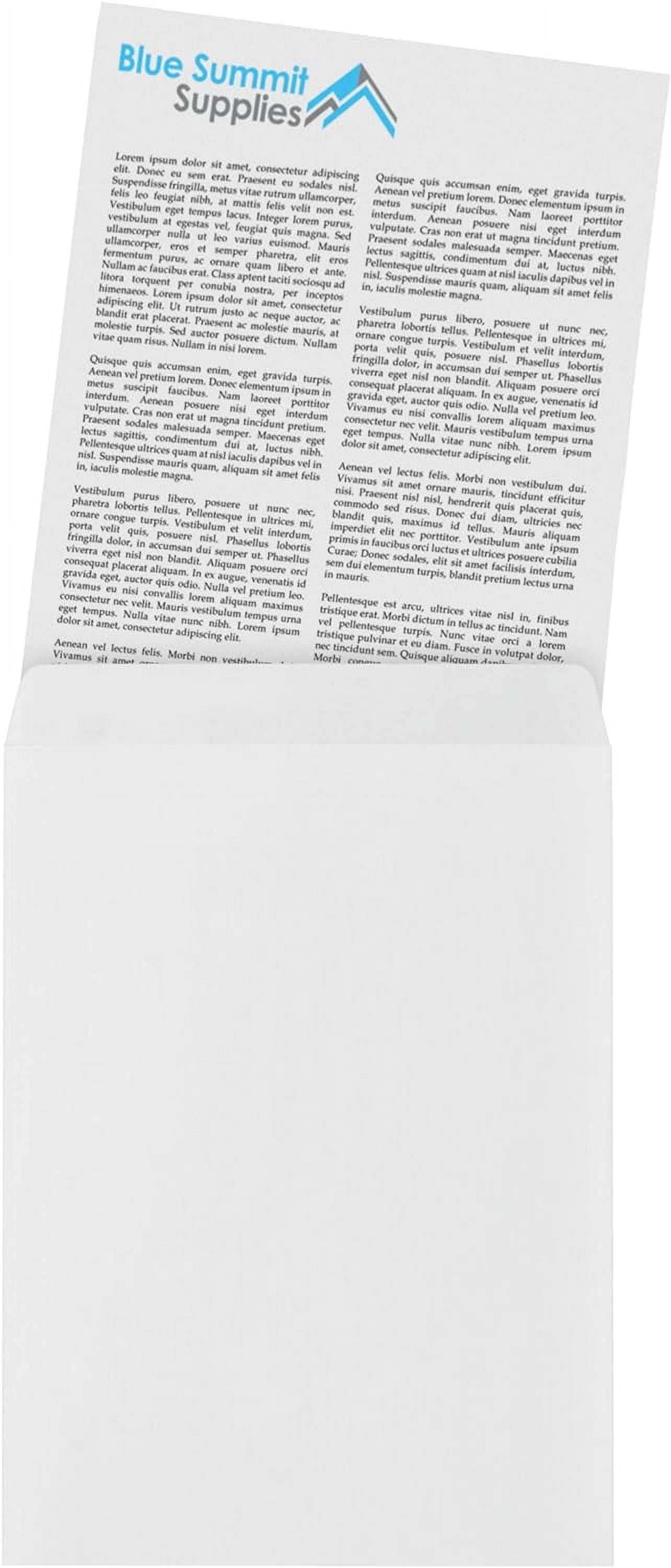 100 9 X 12 Self Seal Security Catalog Envelopes - Designed for Secure Mailing Securely Holds up to 60 Sheets of Paper with Strong Peel and Flap (100 Envelopes)