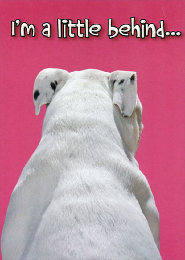 Designer Greetings White Dog Facing Away : Little Behind Funny : Humorous Belated Birthday Card Designer Greetings White Dog Facing Away : Little Behind Funny : Humorous Belated Birthday Card