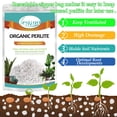 thumbnail image 3 of 4 Quarts Organic Horticultural Perlite for Plants Indoor- Natural Horticultural Soil Additive Conditioner Mix for Improves Drainage, Ventilation and Root Growth, 3 of 7