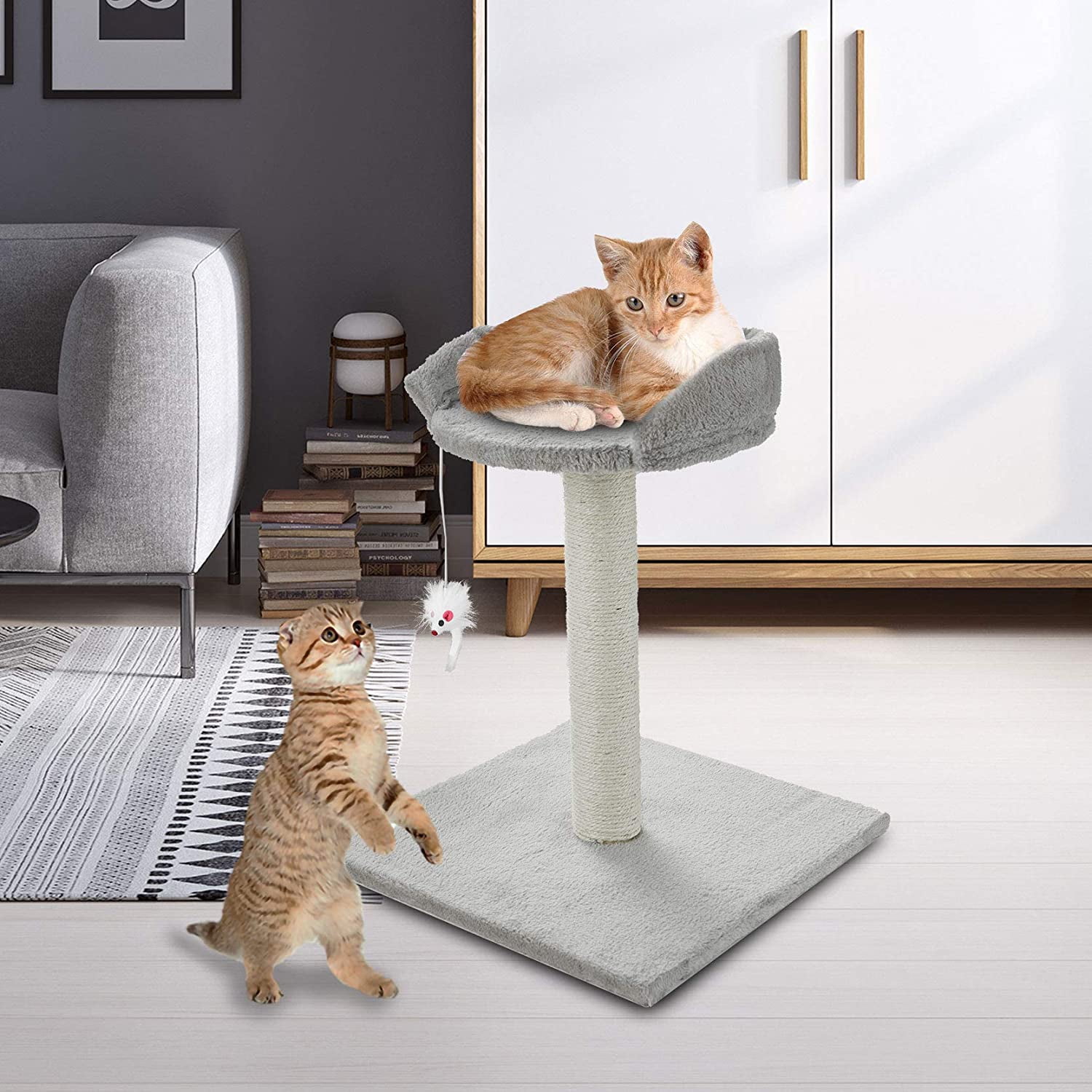milo and misty scratching post
