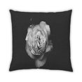 thumbnail image 2 of Ahgly Company Color Focus Black Outdoor Throw Pillow, 18 inch by 18 inch, 2 of 6