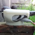thumbnail image 4 of BRIGHTFUFU 4Ud Soporte Para Pigeons Estable Y Para Sujetar En Procedimientos Médicos Y Observación, 4 of 8