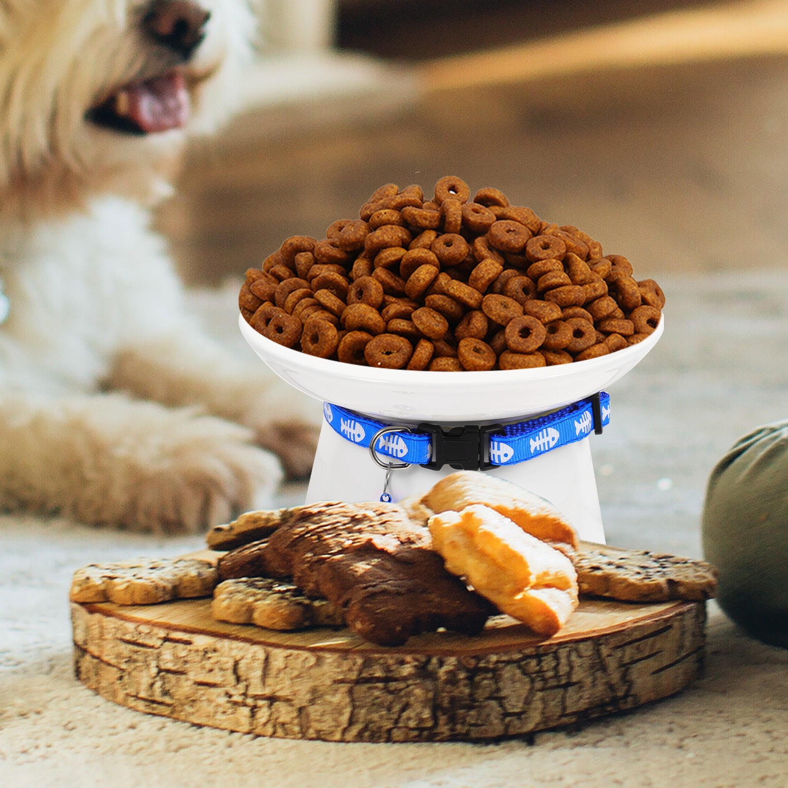 GAXIRE Elevated Pet Feeding Bowl Ceramic Cat Food Dish with Modern Shape and Bite Resistant