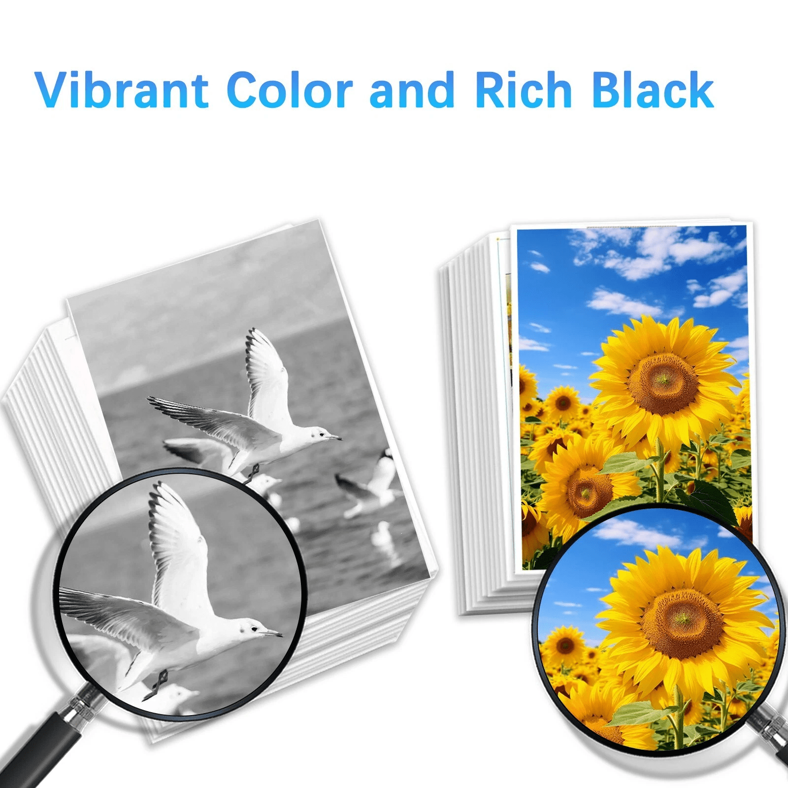 9 Pack T5961 T5962 T5963 T5964 T5967 T5968 T5969 Ink Cartridge for Stylus Pro 7700 7890 7900 9700 9890 9900 Printer (9-Pack)