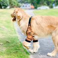thumbnail image 1 of Premium Dog Elbow Protector 1 Pair Dog Elbow Dog Elbow Shield Protector Soft Padded Abrasion Resistance Breathable Dog Recovery Front Legs Sleeve For Medium Large Dogs, 1 of 8