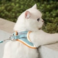 thumbnail image 4 of Pet Cat Chest Harness  Reflective Breathable Leash  Small Dog Puppy Sport Training Walking Safety Vest Harnesses, 4 of 7