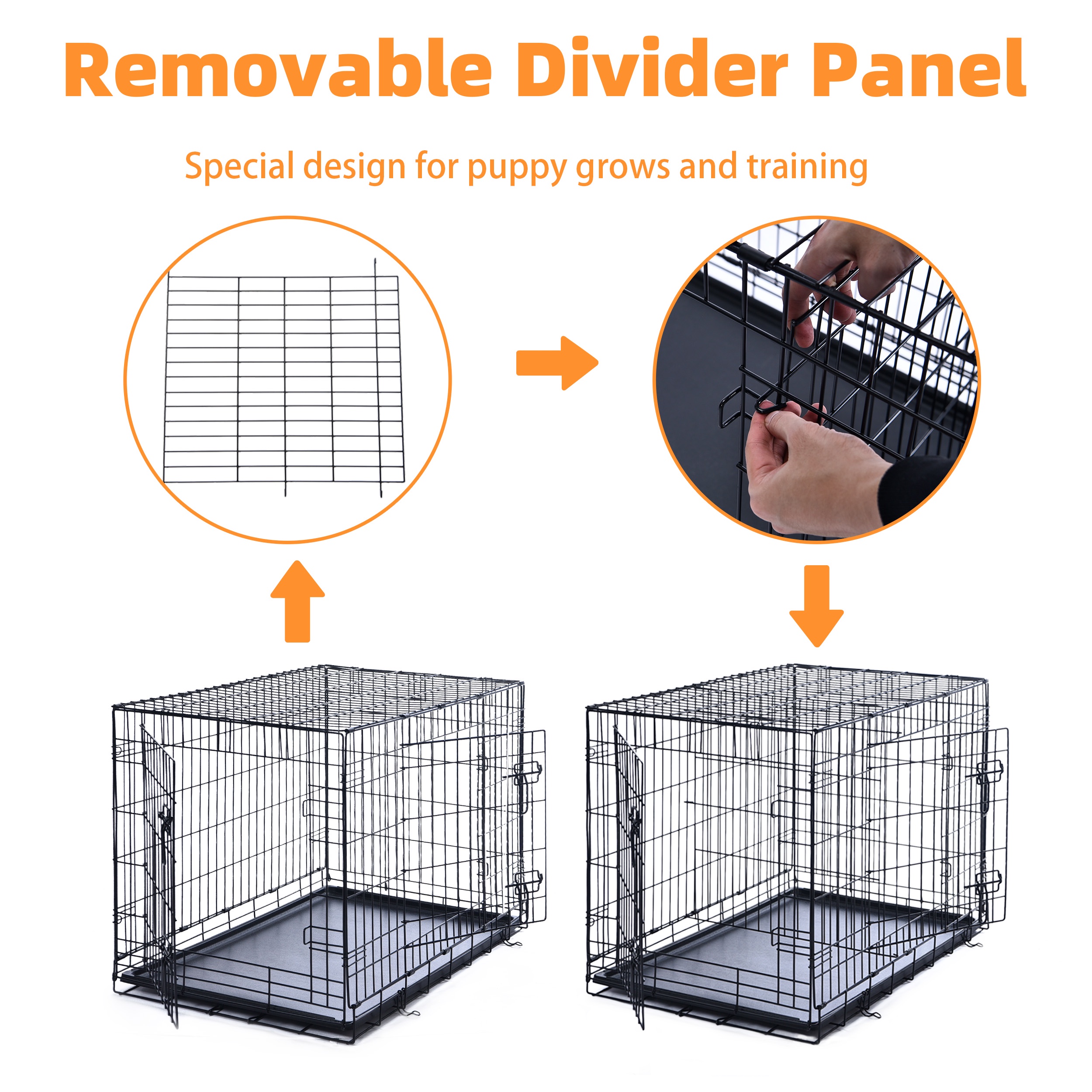 Max & Marlow Double-Door Foldable Dog Crate, 24 Inch photo 2