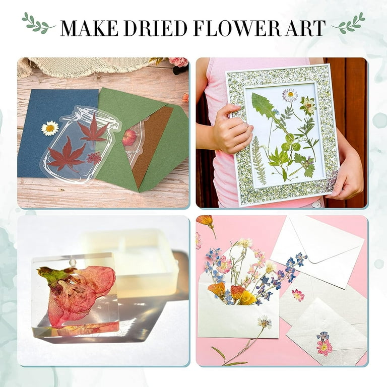 DIcHA Flower Press Kit, Leaf Press, Plant Press, 6 Layers,6X9, craft
