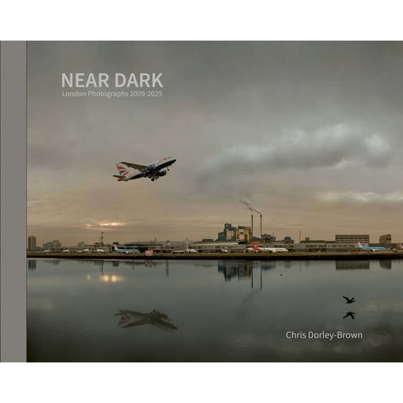 Near Dark, (Hardcover)