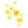 thumbnail image 3 of Vess, June Erica 12x14 Black Modern Framed Museum Art Print Titled - Falling Blossoms III, 3 of 5