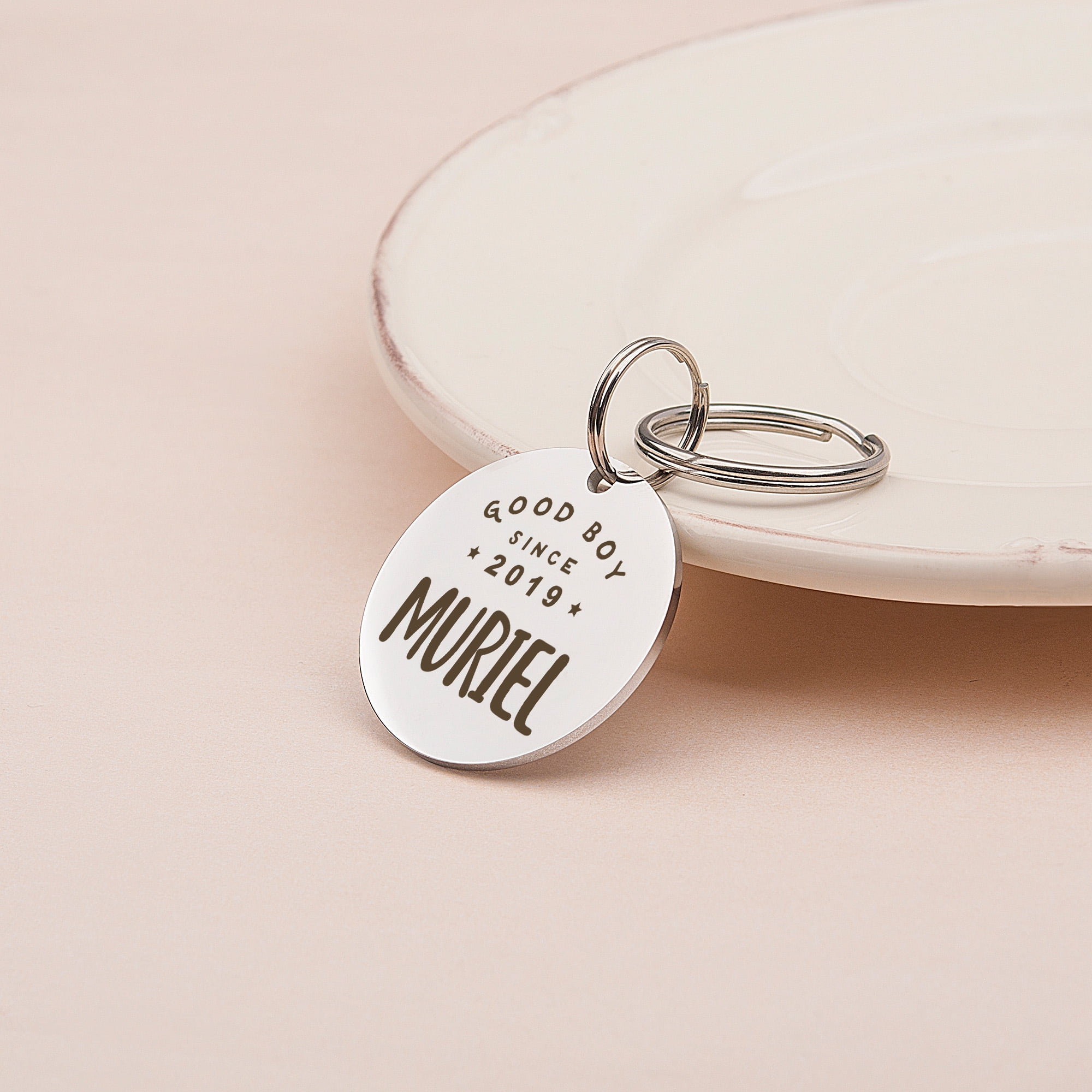 Anavia Metal Stainless Steel Round Name - Good Boy Girl - Birth Year Birthday Holiday Christmas Engraved Dog Cat ID Tag, Silver