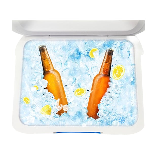 El Refrigerador Al Aire Libre Fresco Aisló La Preservación Del Calor Capacidad Caja 6L
