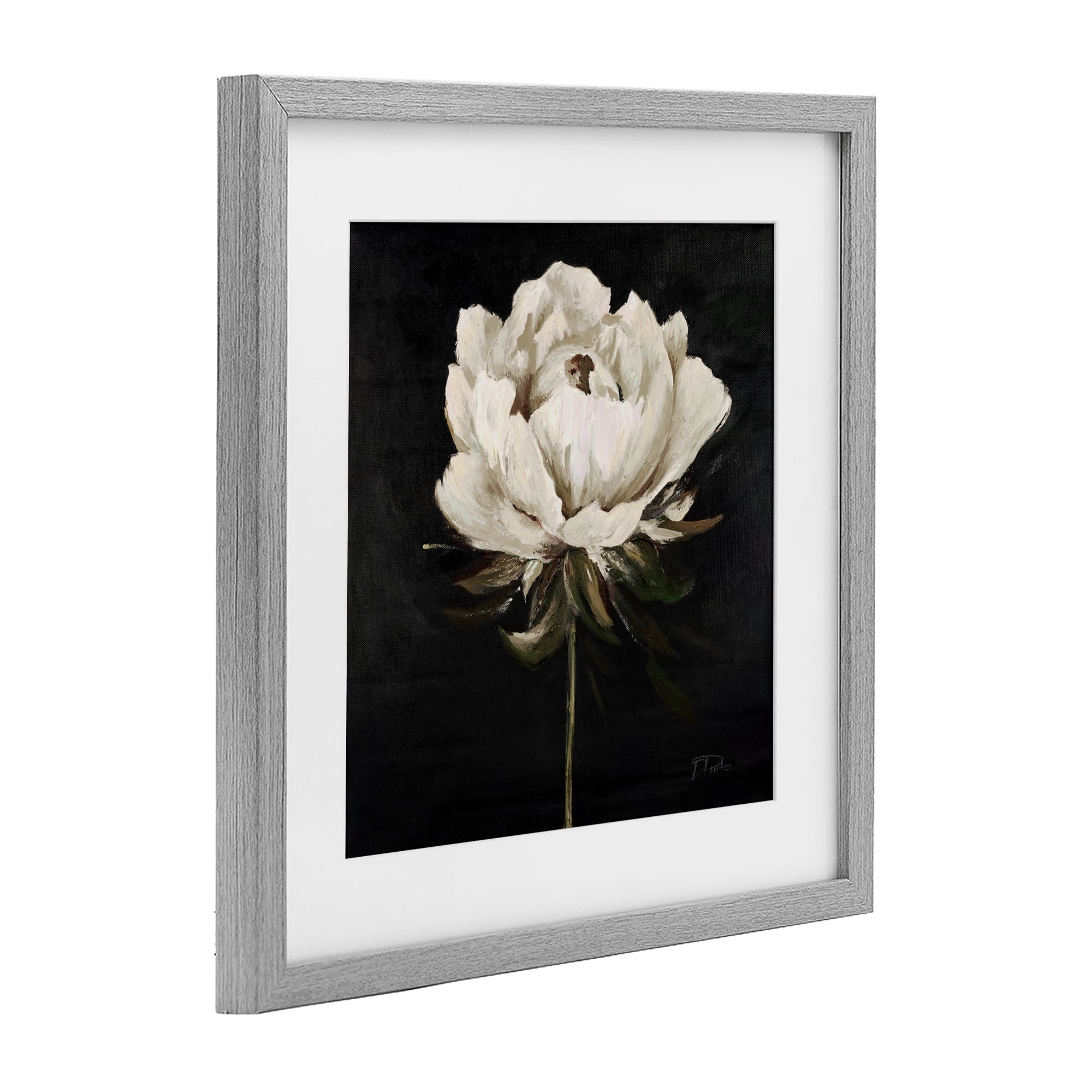 Stupell Industries Pretty Delicate Bloom on Black Gray Framed Print Under Glass, design by Patricia Pinto