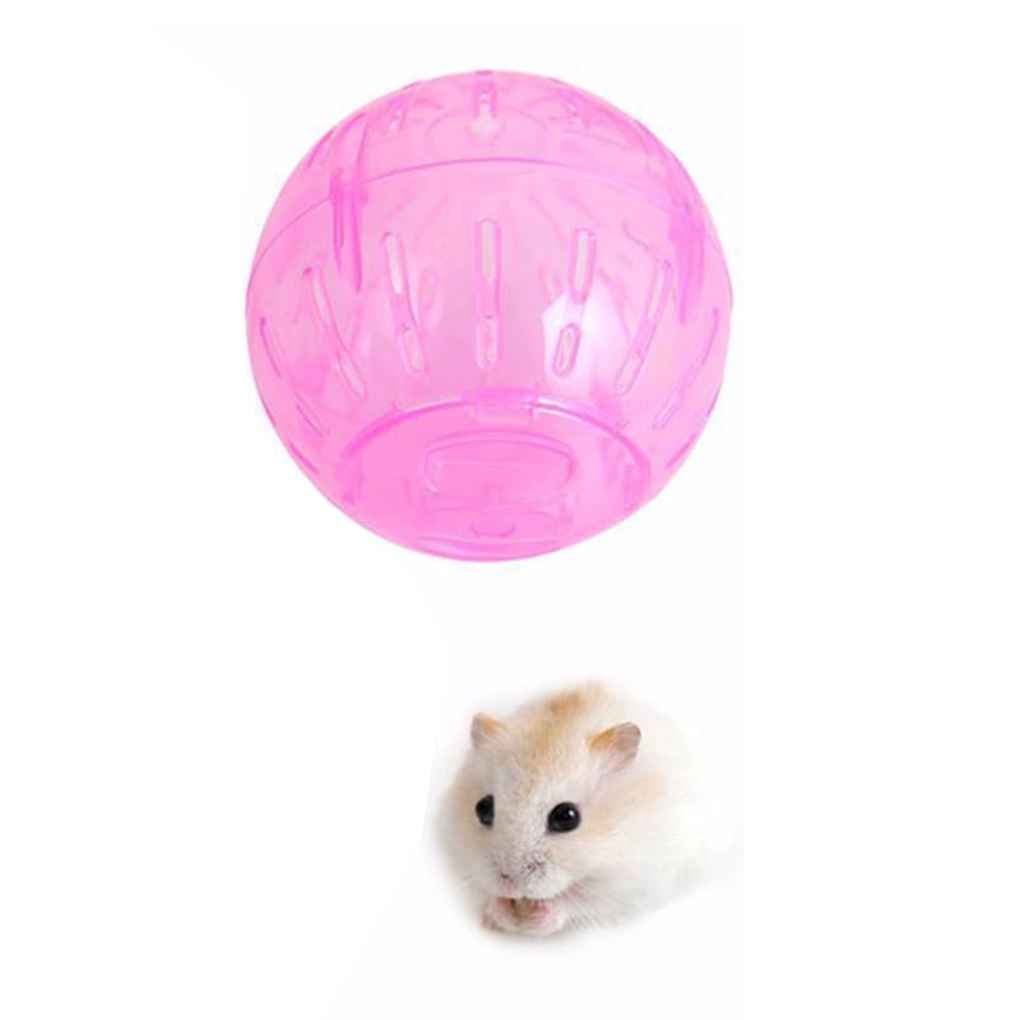 mice hamster