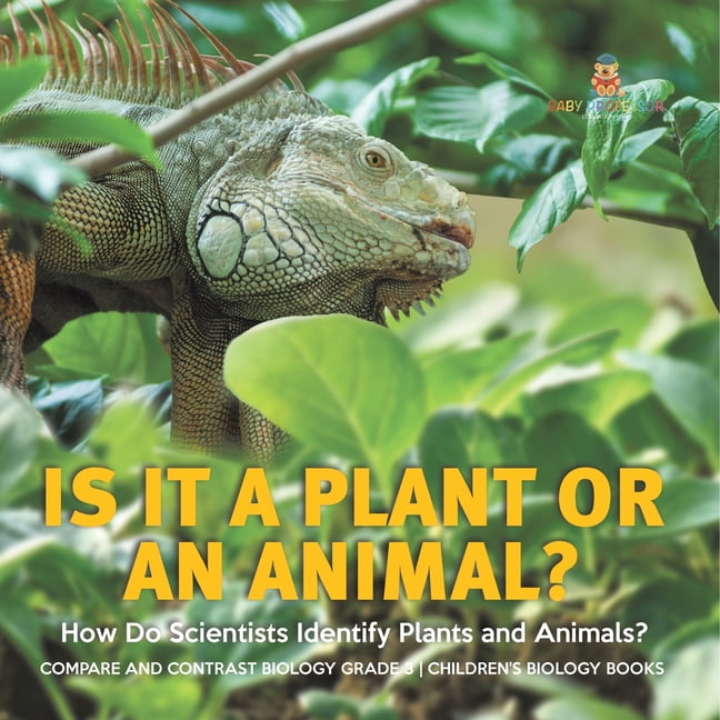 Is It a Plant or an Animal? How Do Scientists Identify Plants and Animals?  Compare and Contrast Biology Grade 3 Children's Biology Books (Paperback) -  