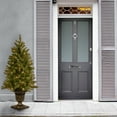 thumbnail image 4 of National Tree Company Pre-lit Feel Real® Artificial Christmas Tree, Green, Downswept Douglas Fir Entrance Tree with Clear Lights, 4 Feet, 4 of 4