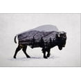 thumbnail image 2 of The American Bison, Animals Stretched Canvas Wall Art by Davies Babies Sold by Art.Com, 2 of 3