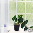 thumbnail image 6 of Twfbrm Artificial Peperomia Leaves Decor, 7 inch Realistic Plastic Peperomia Plants in Terracotta Pot, Real Touch Decorative Greenery Bonsai Faux Potted Plants Indoor for Home Office Desk Shelf, 6 of 6