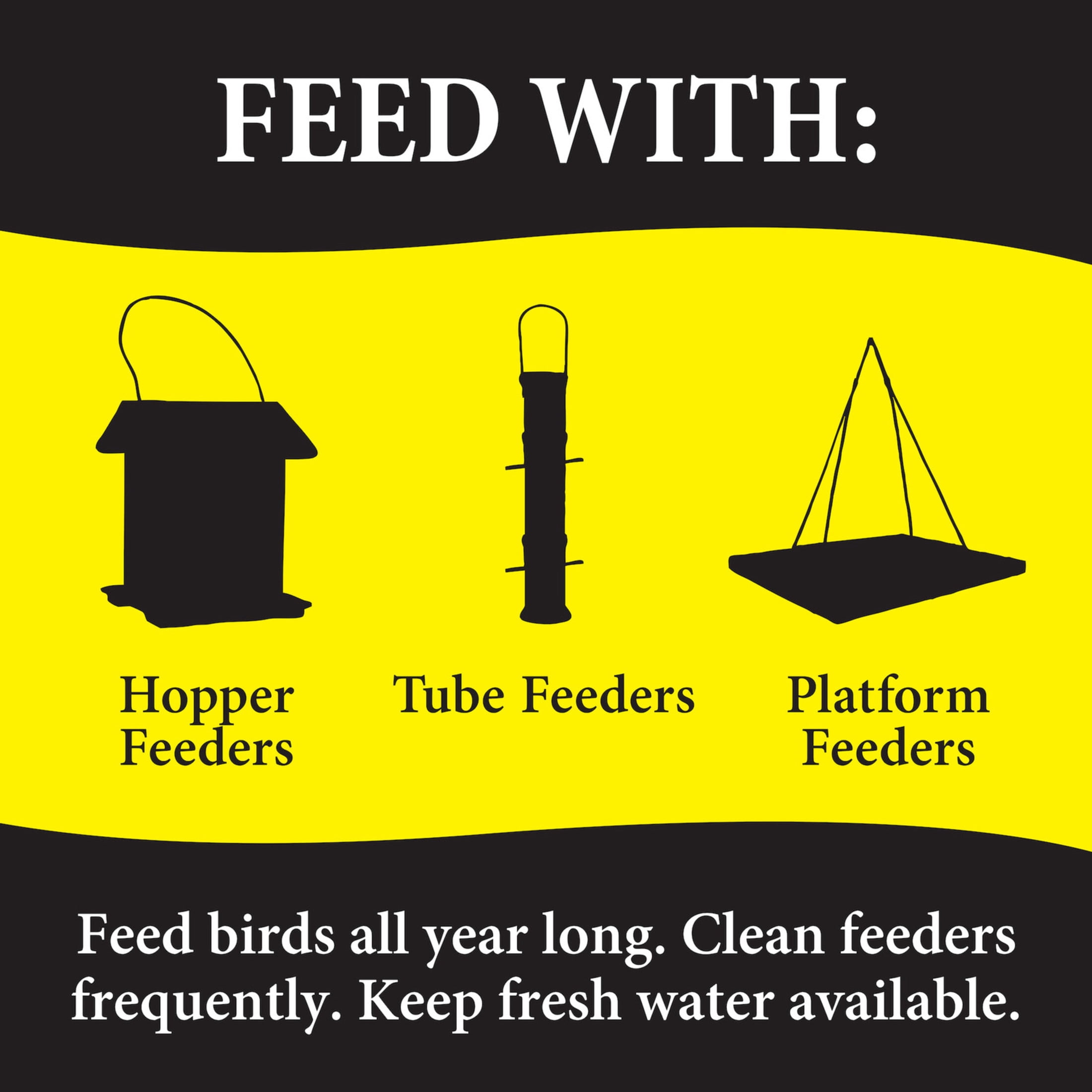 Wild Delight Advanced Formula Bugs N Berries Wild Bird Food 14 lb