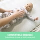 thumbnail image 2 of Swaddle Ingenuity SwaddleMe Happy Elephant sin brazos durante 3 a 6 meses, 2 of 7