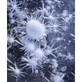 thumbnail image 2 of Talbot Frank, Christopher 26x30 Black Ornate Wood Framed with Double Matting Museum Art Print Titled - CA, Sierra Nevada Ice crystals in the Sierra, 2 of 4