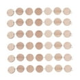 thumbnail image 4 of Greenadscape 50Pcs Round Wooden Slices For Hanging Birthday Boards With Tiny Holes Assorted Color, 4 of 8