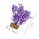thumbnail image 2 of BRIGHTFUFU Planta Ornamental Artificial Para De Peces Morada Para Ambiente Acuático, 2 of 7