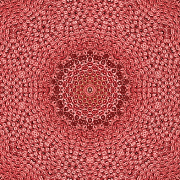 Ahgly Company Machine Washable Indoor Square Transitional Red Area Rugs, 5' Square