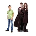 thumbnail image 4 of Harry & Hermione (Harry Potter), 4 of 5